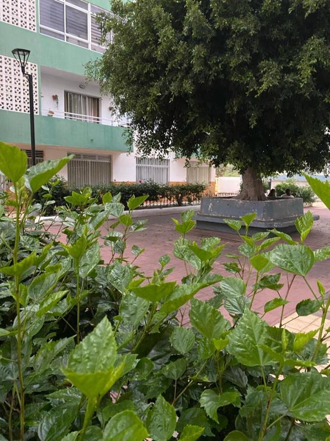 Detail Rose Apartment Puerto de la Cruz  Ngoại thất bức ảnh